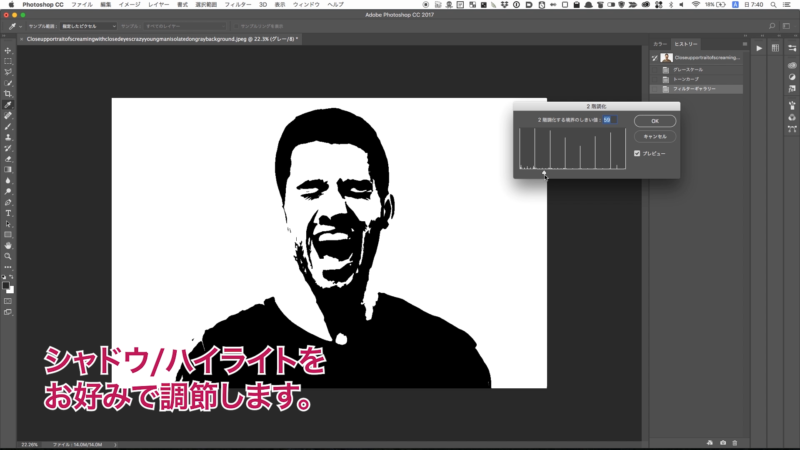 Photoshopで写真をキレイに白黒2階調にする方法 0 5秒を積み上げろ